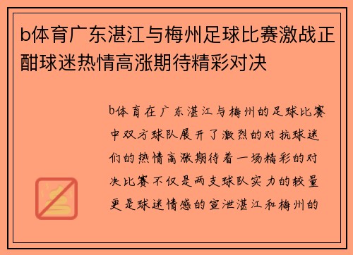 b体育广东湛江与梅州足球比赛激战正酣球迷热情高涨期待精彩对决